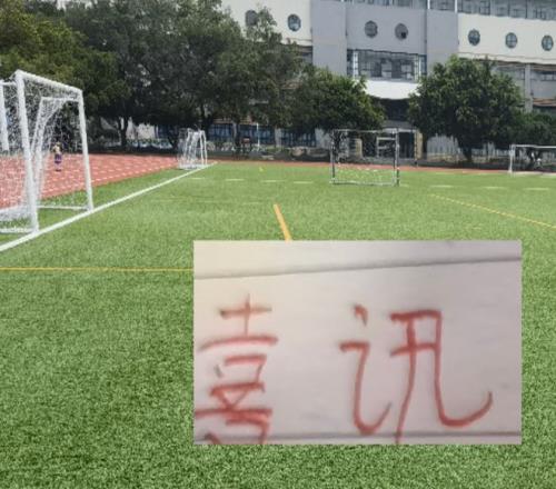 广东队逆袭,加强,布朗洛夫顿,大发彩神,彩票平台,彩票投注,在线购彩,彩票服务