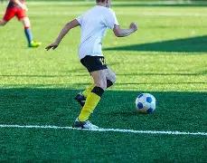 大乐透期号,专家推荐,拉亚等四人,大发彩神,彩票平台,彩票投注,在线购彩,彩票服务